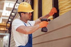 Best Vinyl Siding Installation  in Roma, TX